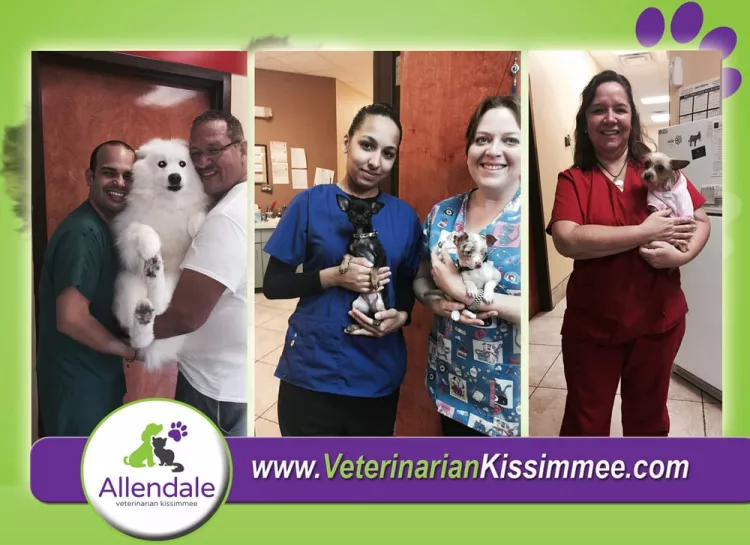 Allendale Animal Health Center, Florida, Kissimmee